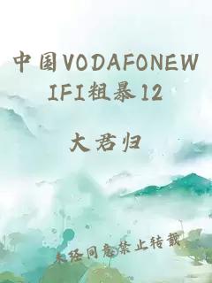 中国VODAFONEWIFI粗暴12