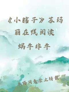 《小瞎子》苏玛丽在线阅读