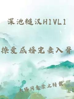 深池糙汉H1VL1