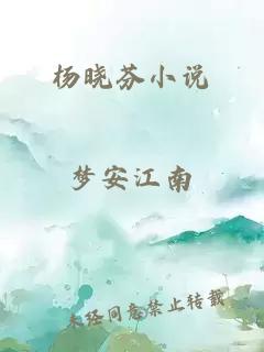 杨晓芬小说