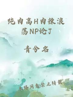 纯肉高H肉辣浪荡NP论J