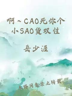 啊～CAO死你个小SAO货双性