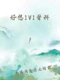 好想1V1骨科