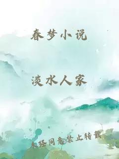 春梦小说