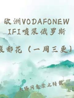 欧洲VODAFONEWIFI喷浆俄罗斯