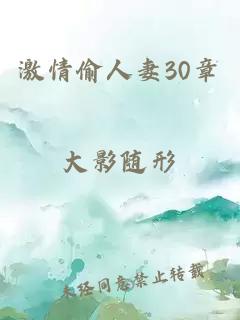 激情偷人妻30章