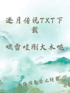 逐月传说TXT下载