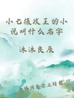 小七摄政王的小说叫什么名字