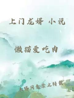 上门龙婿 小说