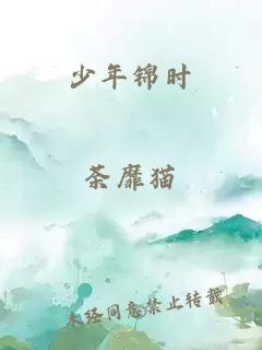 少年锦时