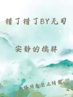 错了错了BY无司