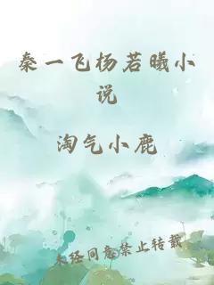 秦一飞杨若曦小说