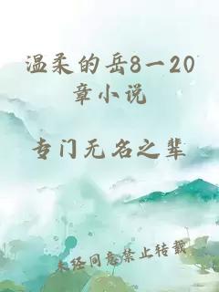 温柔的岳8一20章小说