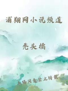 浦翔网小说频道