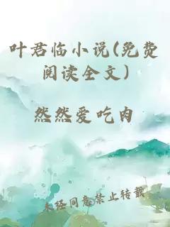 叶君临小说(免费阅读全文)