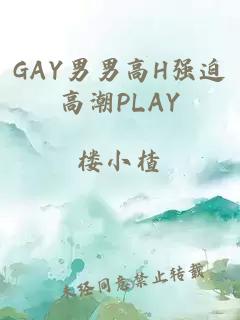 GAY男男高H强迫高潮PLAY