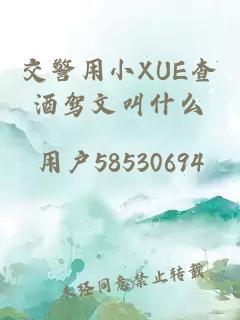 交警用小XUE查酒驾文叫什么