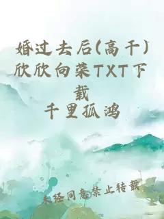 婚过去后(高干)欣欣向荣TXT下载