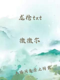 龙枪txt