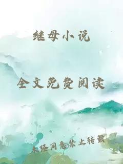 继母小说