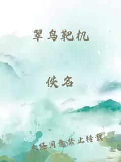 翠鸟靶机