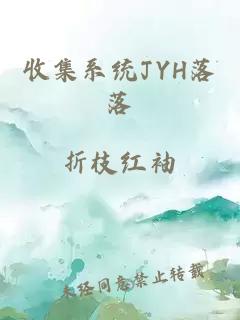 收集系统JYH落落