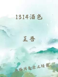 1314酒色