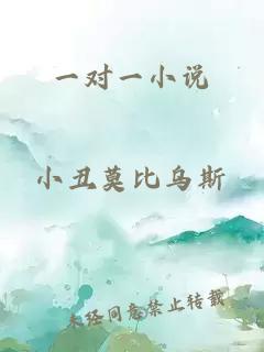 一对一小说