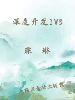 深度开发1V3