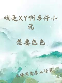 哦是XY啊马仔小说