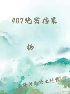 407绝密档案