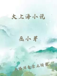 大上海小说