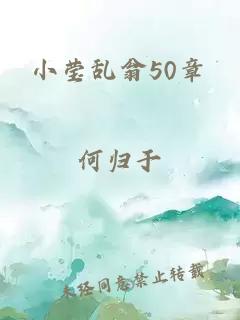 小莹乱翁50章