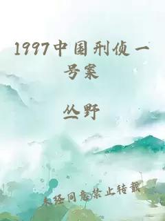 1997中国刑侦一号案