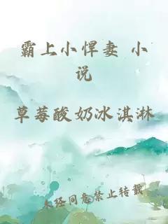 霸上小悍妻 小说