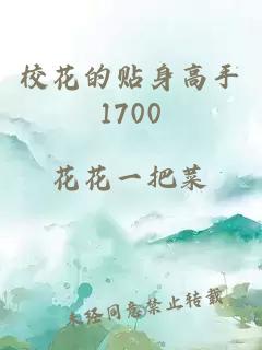 校花的贴身高手1700