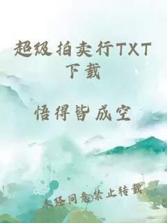 超级拍卖行TXT下载