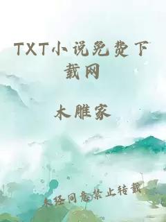 TXT小说免费下载网