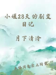 小媛28天的剧变日记