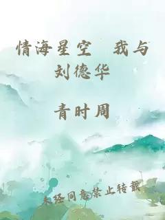 情海星空 我与刘德华