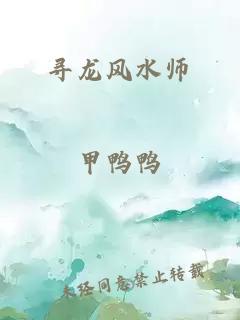 寻龙风水师