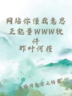 网站你懂我意思正能量WWW软件