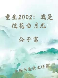 重生2002：我是校花白月光