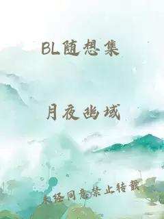 BL随想集