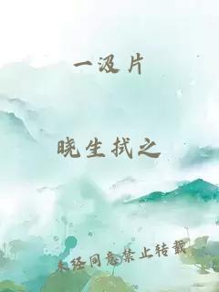 一汲片