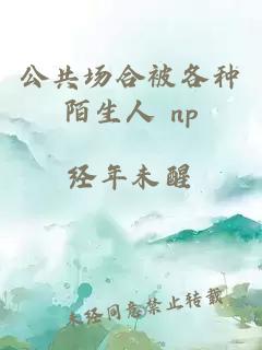 公共场合被各种陌生人 np