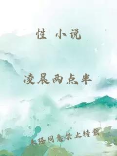 性 小说