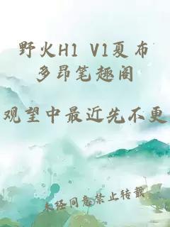 野火H1 V1夏布多昂笔趣阁