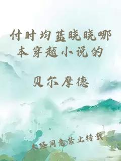 付时均蓝晓晓哪本穿越小说的