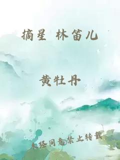 摘星 林笛儿